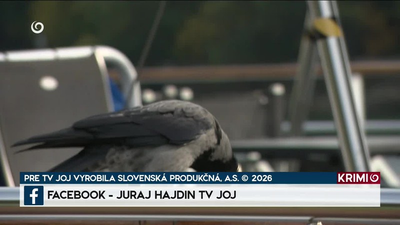 MEDZINÁRODNÁ KONTROLA NA DUNAJI