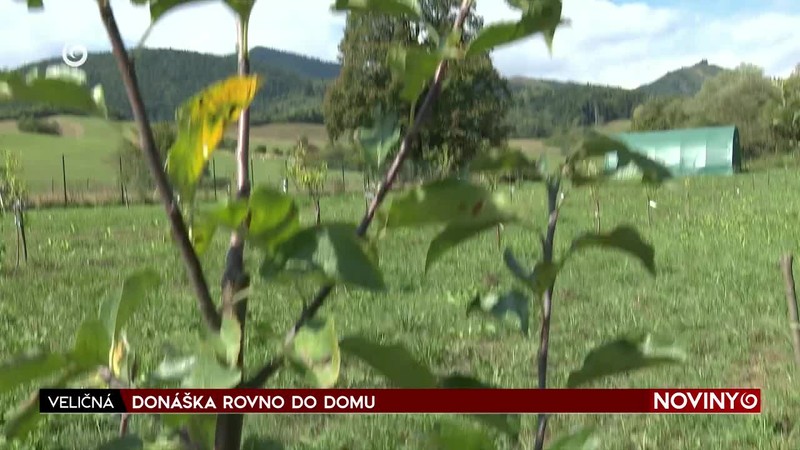DONÁŠKA ROVNO DO DOMU