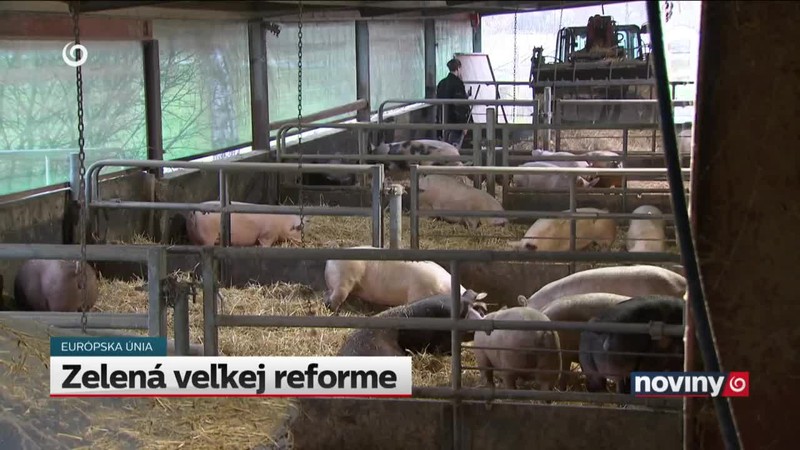 Zelená veľkej reforme