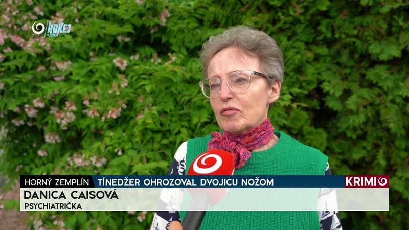 TÍNEDŽER OHROZOVAL DVOJICU NOŽOM