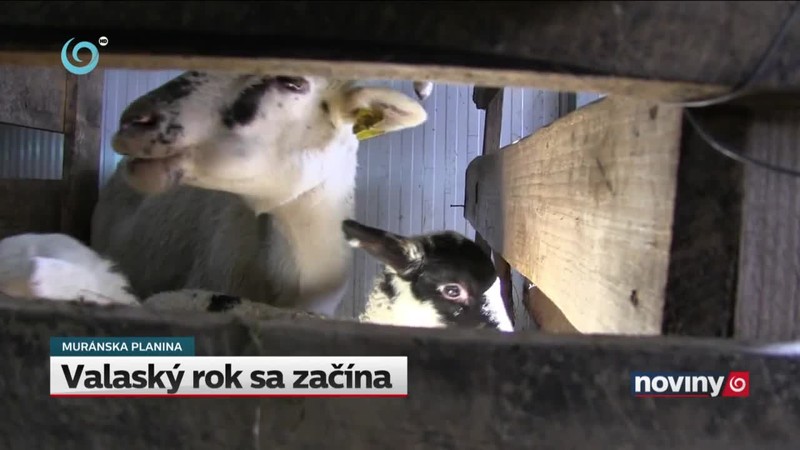 Valaský rok sa začína