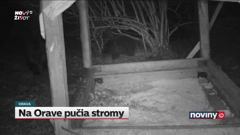 Na Orave pučia stromy