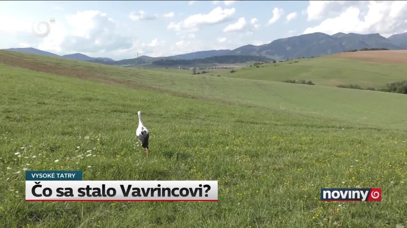 Čo sa stalo Vavrincovi?