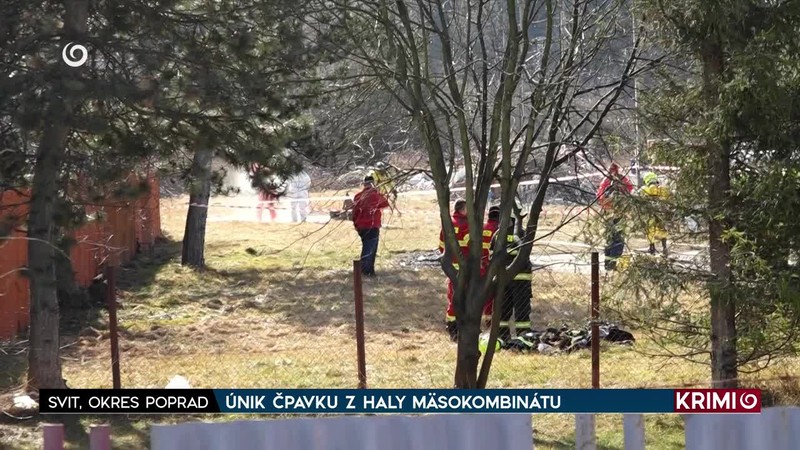 ROZHODOVANIE O OCHRANNEJ LIEČBE