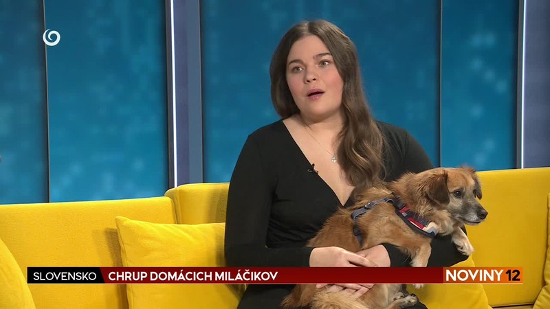 Rozhovor chrup domáceho miláčika