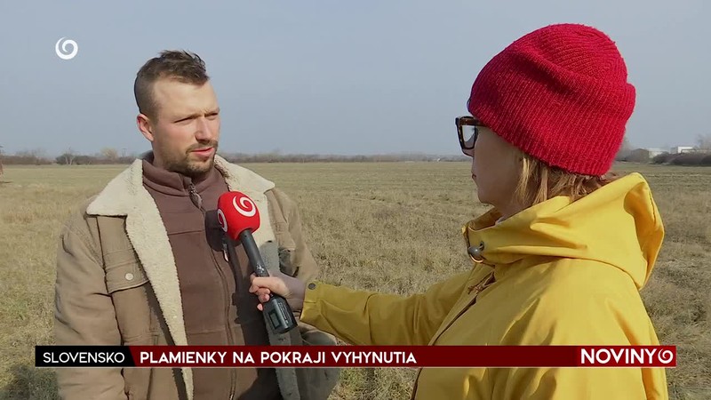 PLAMIENKY NA POKRAJI VYHYNUTIA