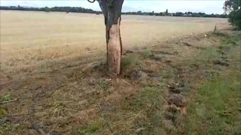 Tragická nehoda v Kvetoslavove. Vyhasli dva mladé životy