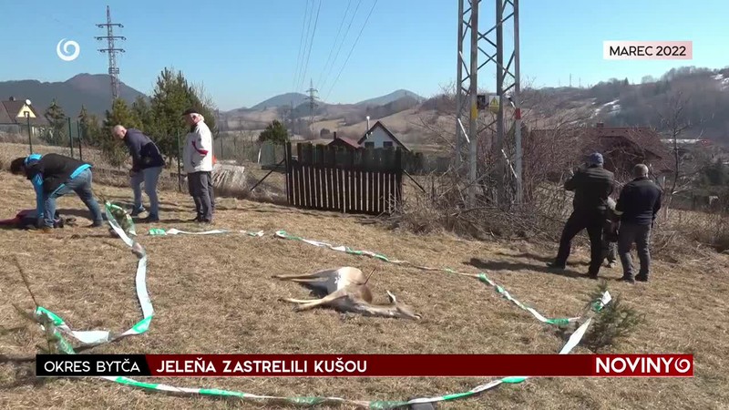 JELEŇA ZASTRELILI KUŠOU