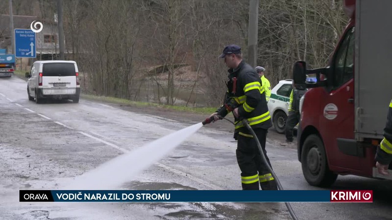VODIČ NARAZIL DO STROMU