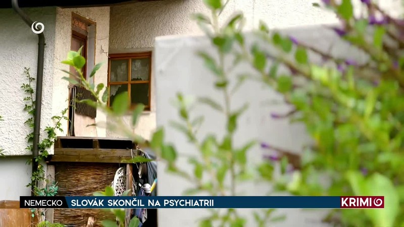 SLOVÁK SKONČIL NA PSYCHIATRI