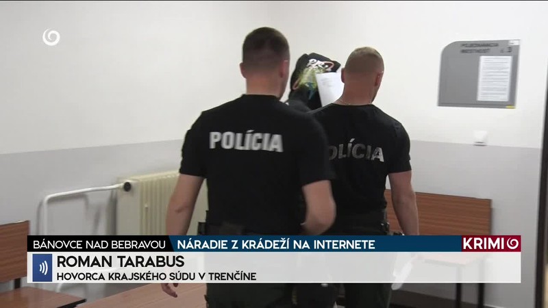 NÁRADIE Z KRÁDEŽÍ NA INTERNETE