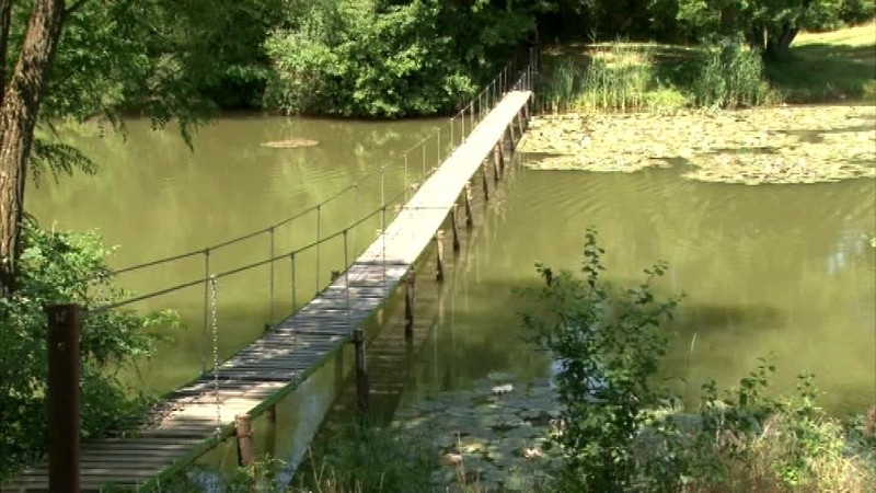 Rybárov vyrušovali kúpajúci sa, skončilo sa sa to bitkou