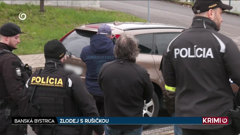 ZLODEJ S RUŠIČKOU