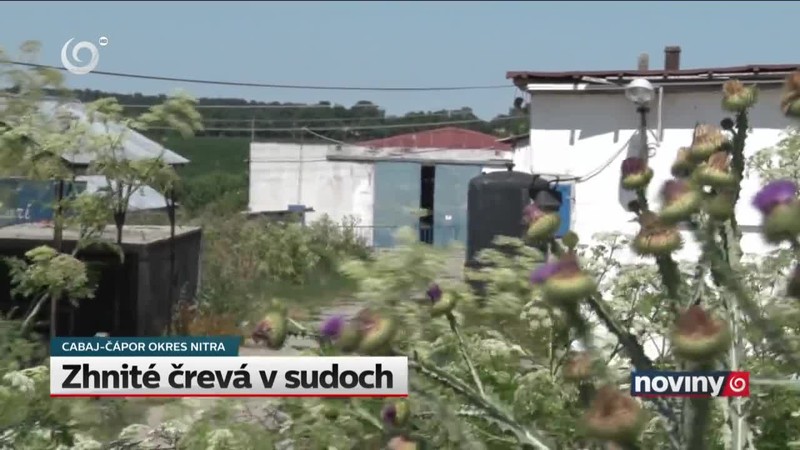Zhnité črevá v sudoch