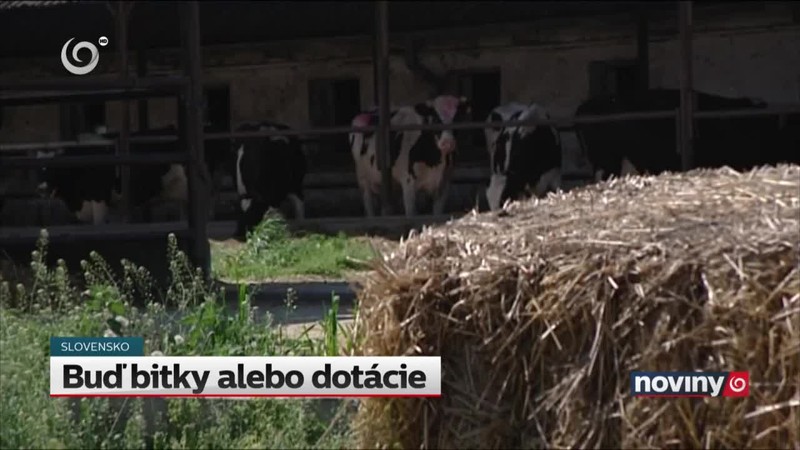 Buď bitky alebo dotácie