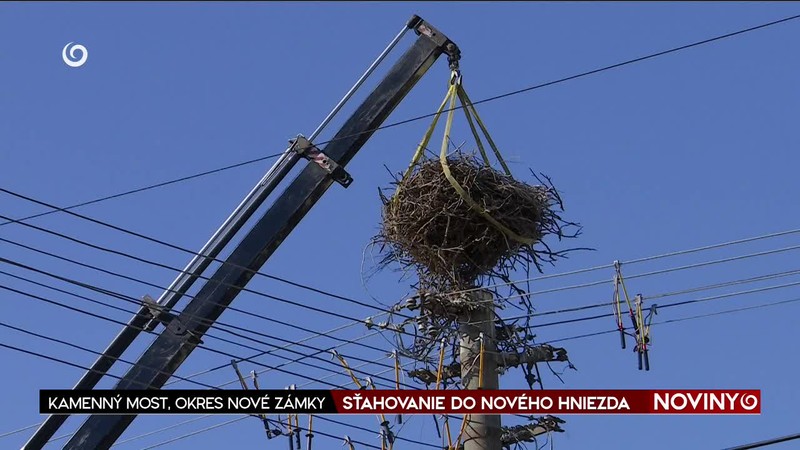 SŤAHOVANIE DO NOVÉHO HNIEZDA