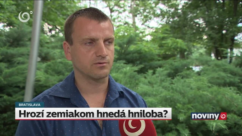 Hrozí zemiakom hnedá hniloba?