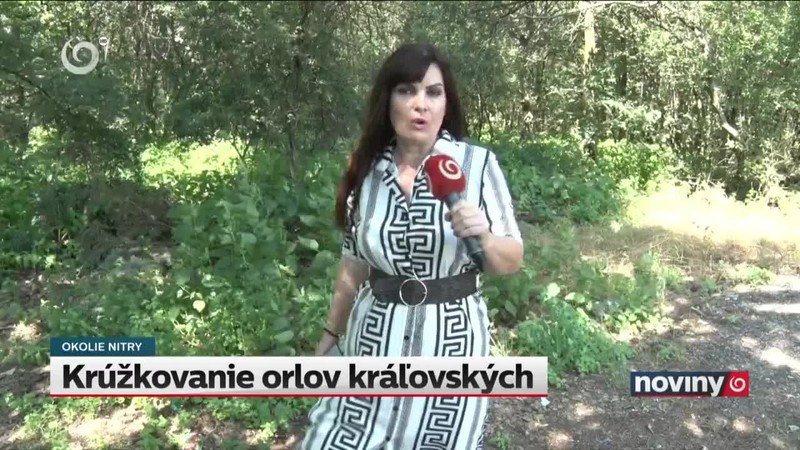 Krúžkovanie orlov kráľovských