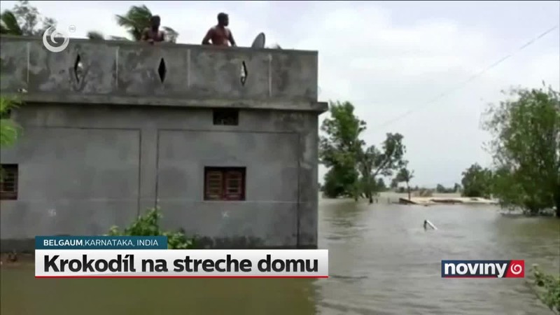 Krokodíl na streche domu