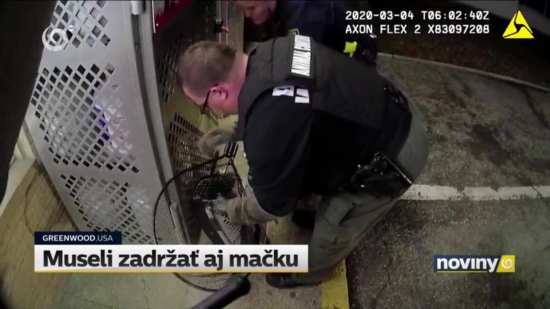 Museli zadržať aj mačku