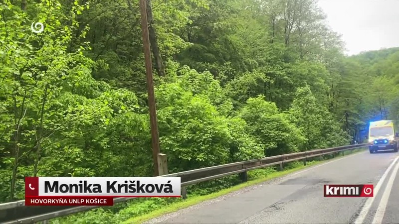 Padajúci strom zranil hasičov