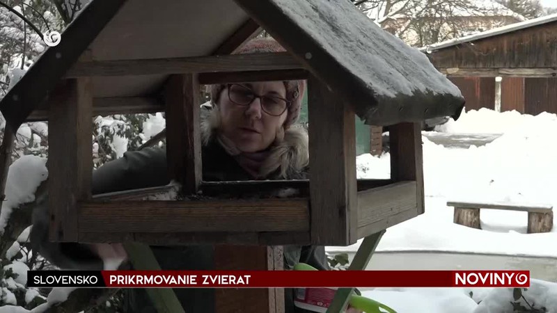 PRIKRMOVANIE ZVIERAT