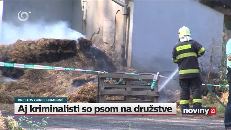 Aj kriminalisti so psom na družstve