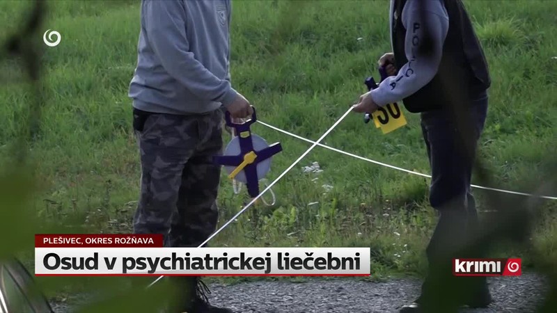 Osud v psychiatrickej liečebni