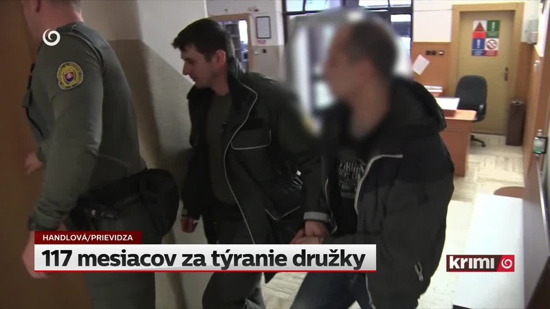 117 mesiacov za týranie družky