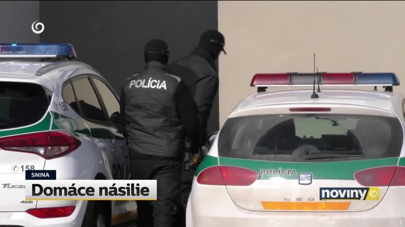 Domáce násilie