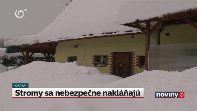 Stromy sa nebezpečne nakláňajú