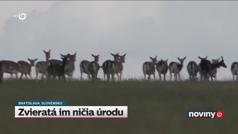 Zvieratá im ničia úrodu