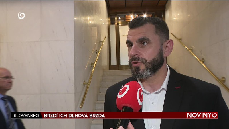 BRZDÍ ICH DLHOVÁ BRZDA