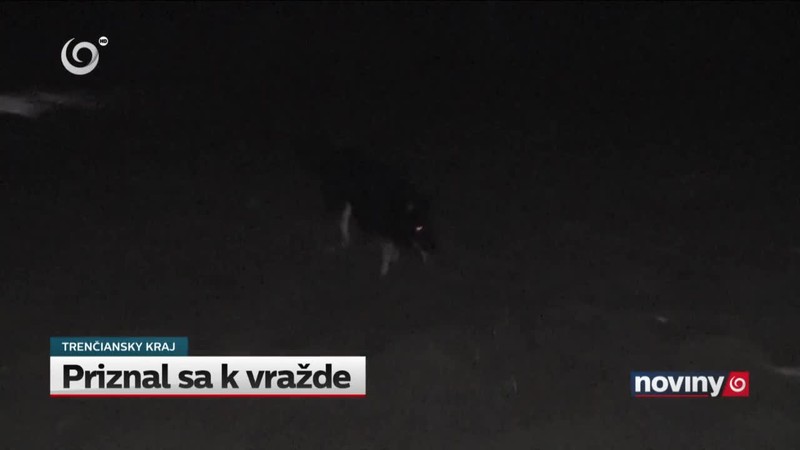Priznal sa k vražde