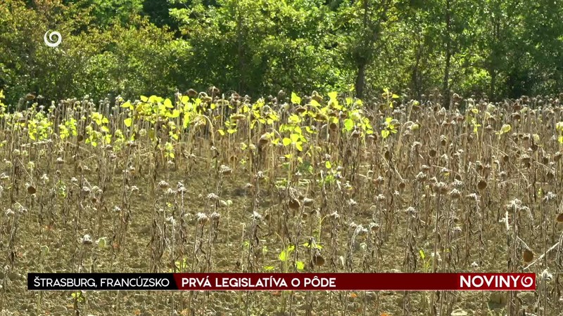PRVÁ LEGISLATÍVA O PÔDE