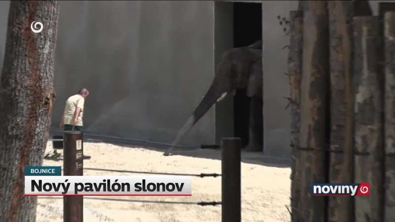Nový pavilón slonov