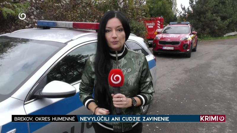 NEVYLÚČILI ANI CUDZIE ZAVINENIE
