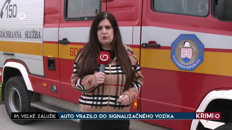 ROZSIAHLE PÁTRANIE PO STRELCOVI