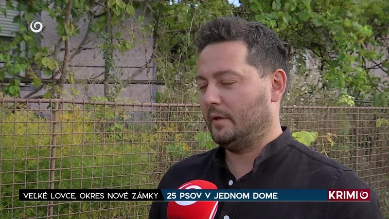 25 PSOV V JEDNOM DOME