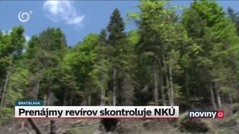 Prenájmy revírov skontroluje NKÚ