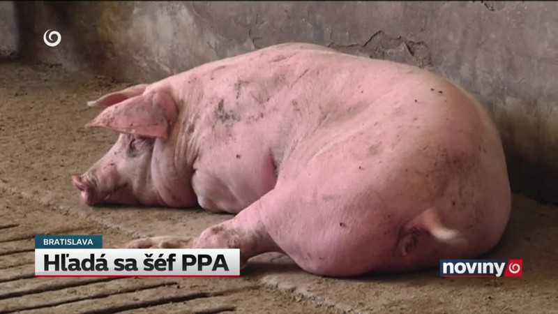 Hľadá sa šéf PPA