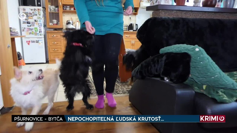 NEPOCHOPITEĽNÁ ĽUDSKÁ KRUTOSŤ…