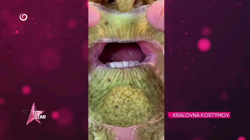 Heidi Klum KRÁĽOVNÁ KOSTÝMOV