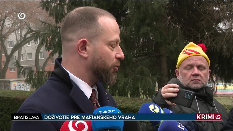 DOŽIVOTIE PRE MAFIÁNSKEHO VRAHA