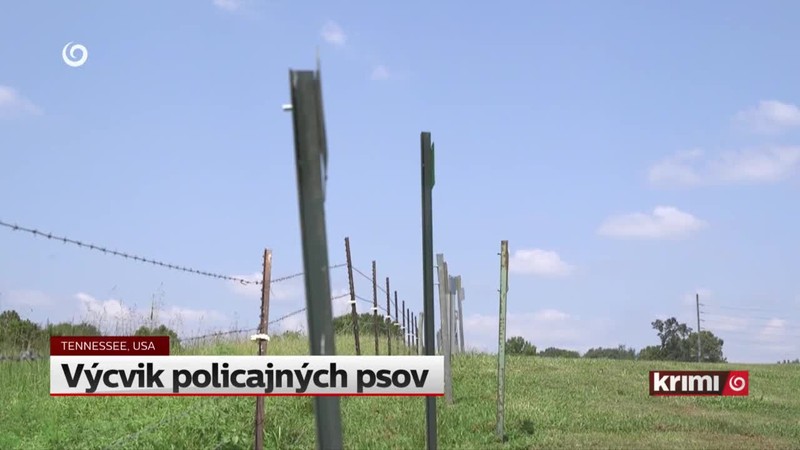 Výcvik policajných psov