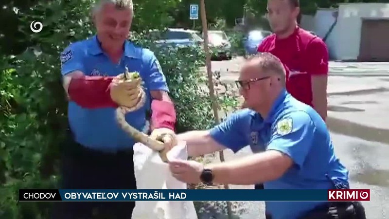 OBYVATEĽOV VYSTRAŠIL HAD