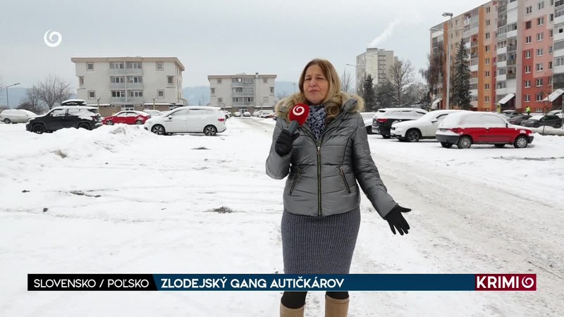 ZLODEJSKÝ GANG AUTIČKÁROV