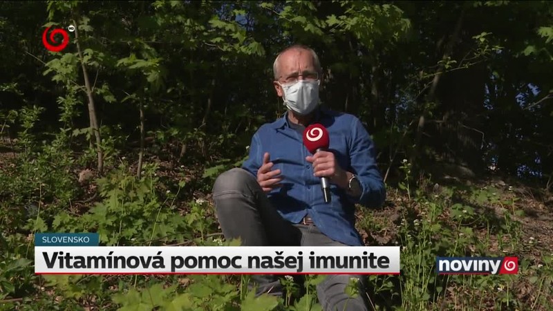 Vitamínová pomoc našej imunite