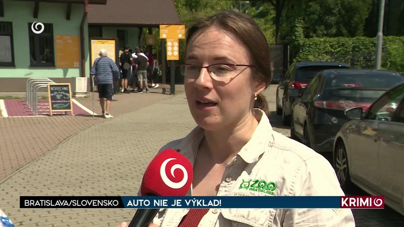 AUTO NIE JE VÝKLAD!