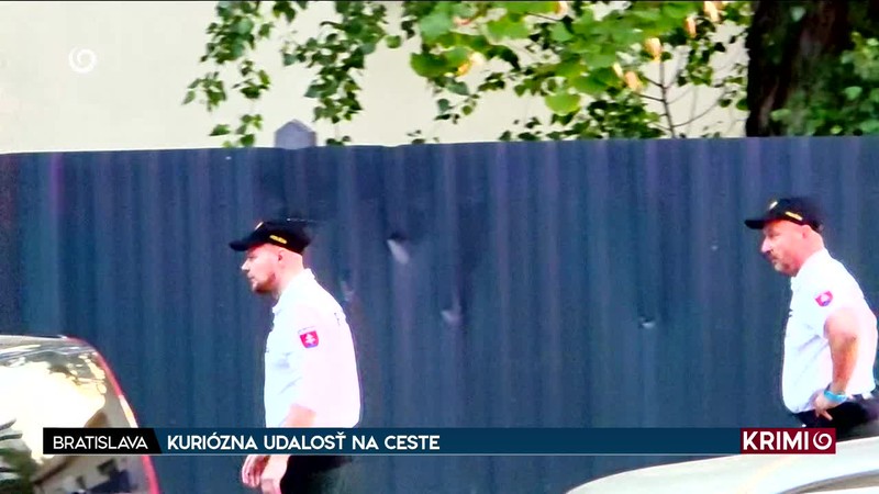 KURIÓZNA UDALOSŤ NA CESTE